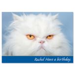 Grouchy Cat Personalized Birthday Card