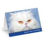 Grouchy Cat Personalized Birthday Card