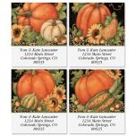 Pumpkin Harvest Select Address Labels  (4 Designs)
