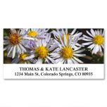 American Wildflowers Deluxe Address Labels  (24 Designs)