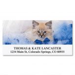 Everyday Cats Deluxe Address Labels  (12 Designs)