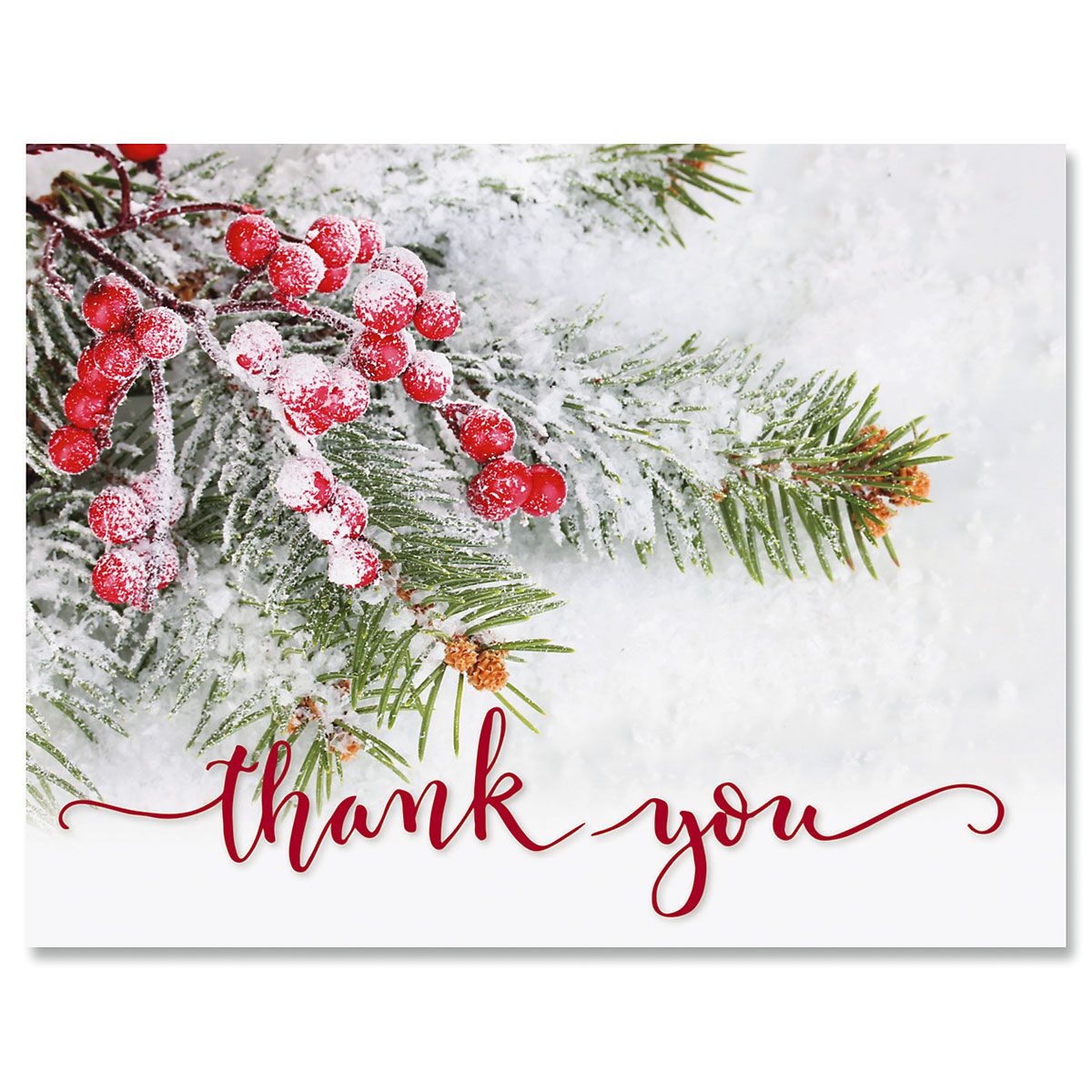 Berries & Pine Christmas Thank You Cards Current Catalog