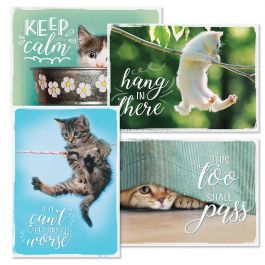 Hang In There Friendship Cards