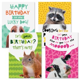 Critter Wishes Birthday Cards