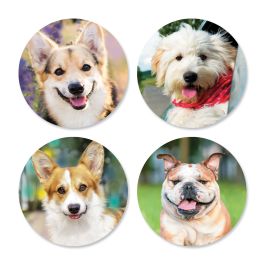Birthday Pups Seals (4 Designs)
