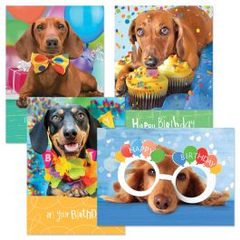 Dog Daze Birthday Cards