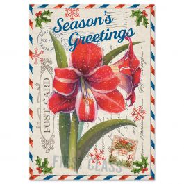 Amaryllis Christmas Cards - Nonpersonalized