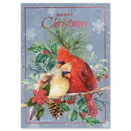 Cardinal Love Deluxe Christmas Cards - Personalized