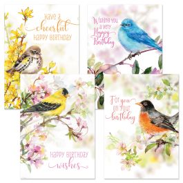 Bird Birthday Cards