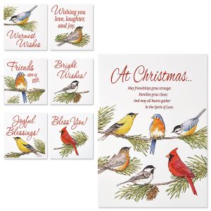 Birds Christmas Cards with Matching Magnets