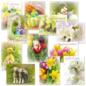 Photo Easter Cards Value Pack