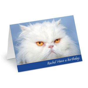 Grouchy Cat Select-A-Card