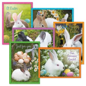 Photo Bunny Easter Greeting Cards Value Pack