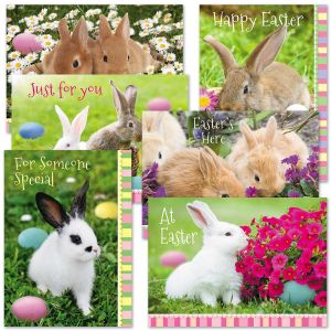 Photo Bunny Easter Cards