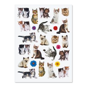 Kittens Stickers