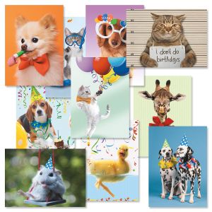 Picture Thisâ„¢ Birthday Cards Value Pack