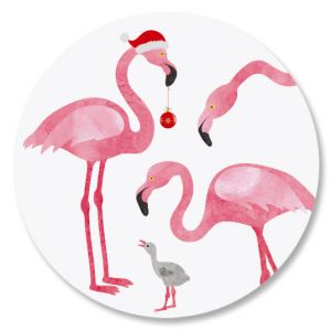 Flamingo Seals