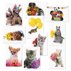 Big Bouquet Animal All Occasion Value Pack