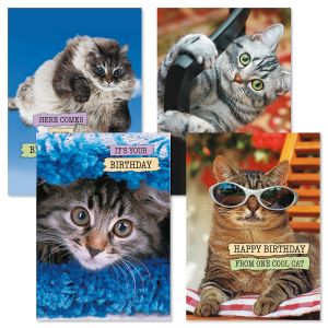 CATtitude Birthday Cards and Seals