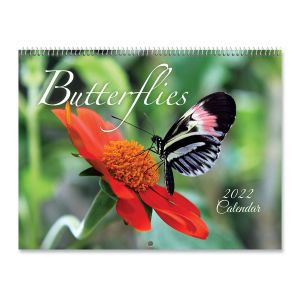 2022 Butterflies Wall Calendar