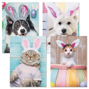 Picture This Dogs and Cats Easter Cards