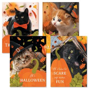 Halloween Cats Cards