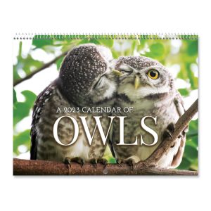 2023 Owls Wall Calendar