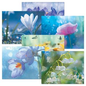 Spring Rain Note Cards