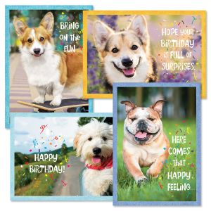 Birthday Pups Birthday Cards and Seals
