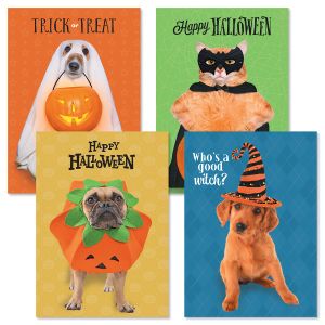 Halloween Tails Halloween Cards