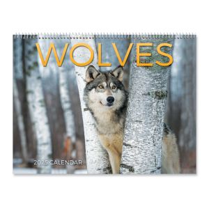 2025 Wolves Wall Calendar