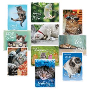 CATtitude All-Occasion Cards Value Pack