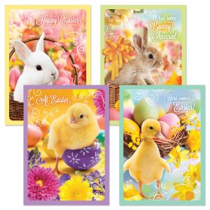 Easter Babies Easter Cards