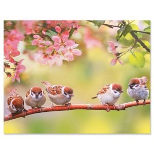 Hello Spring Note Cards