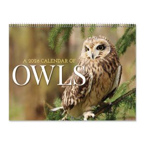 2026 Owls Wall Calendar