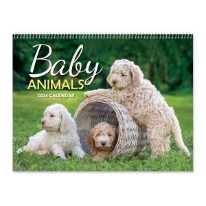 2026 Baby Animals Wall Calendar