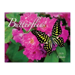2026 Butterflies Wall Calendar
