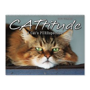 2027 Cattitude Wall Calendar
