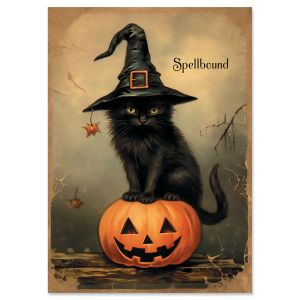 Spooky Kitty Halloween Cards