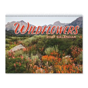 2027 Wildflowers Wall Calendar