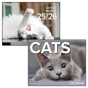 Cats 2023 Mini Day-To-Day Calendar