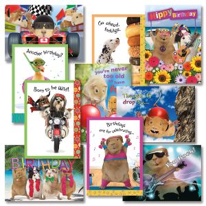 Crazy Gang Birthday Cards Value Pack