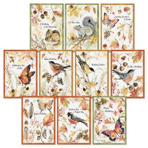 Feathers & Birds Birthday Cards Value Pack