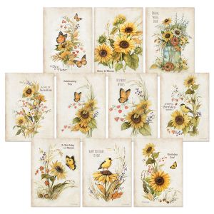 Autumn Sunflower Birthday Cards Value Pack