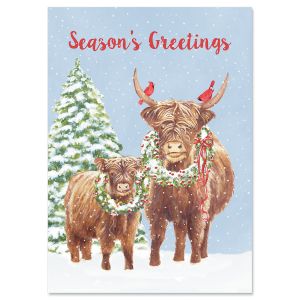 Highland Christmas Christmas Cards