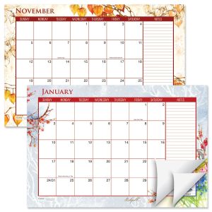2027–2028 A Year of Birds Calendar Pad