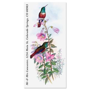 Blue-Throated Hummingbird Oversized Address Labels