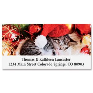 Cozy Kitten Deluxe Address Labels