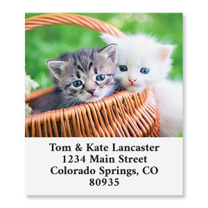 Kittens in Basket Select Address Labels