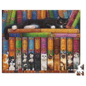 Cat Bookshelf Puzzle